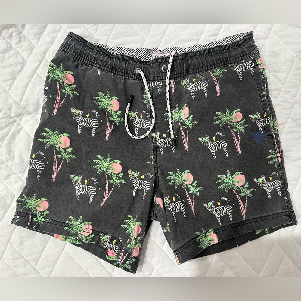 Party Pants Men’s swim trunks
